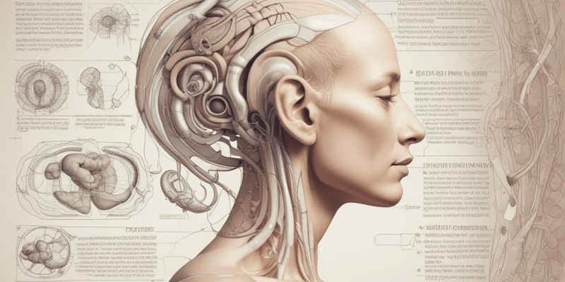 Anatomy: The Cochlea