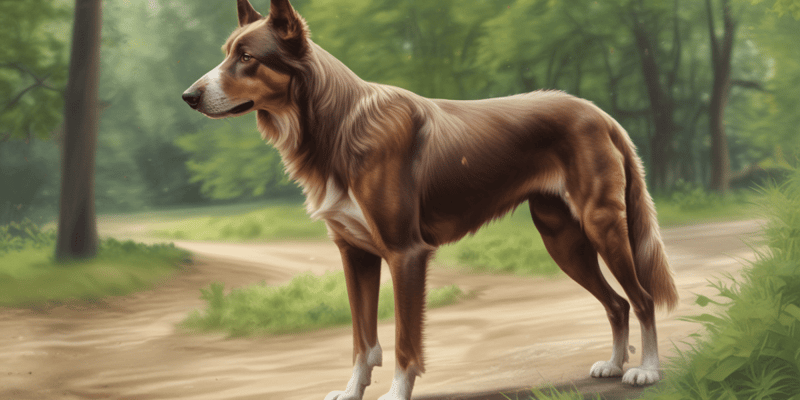 Canine Protein-losing Enteropathy Overview