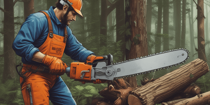 Chainsaw Maintenance and Safety