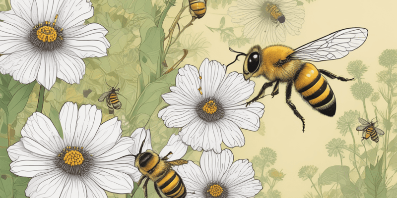 Pollination Biology Ent 104 Johnson Outline Overview