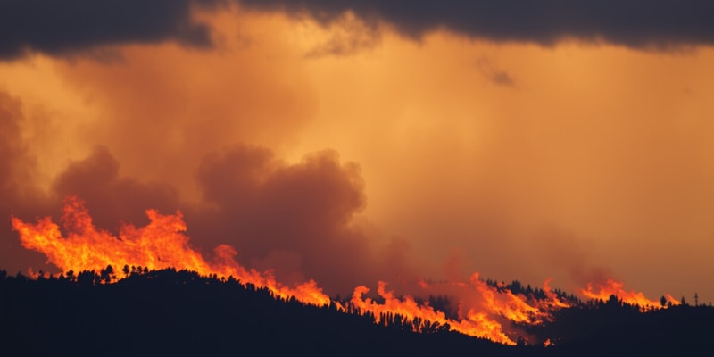 Comportamiento del Fuego y Tormentas