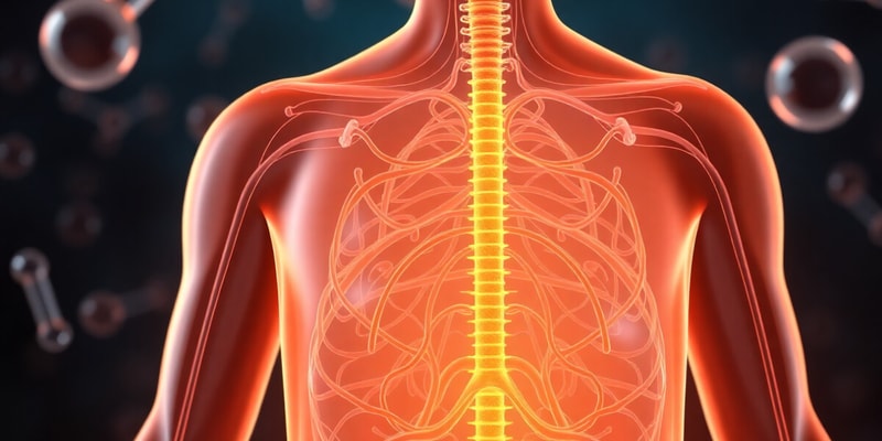 Endocrine Control of Growth: Adrenal Glucocorticoids