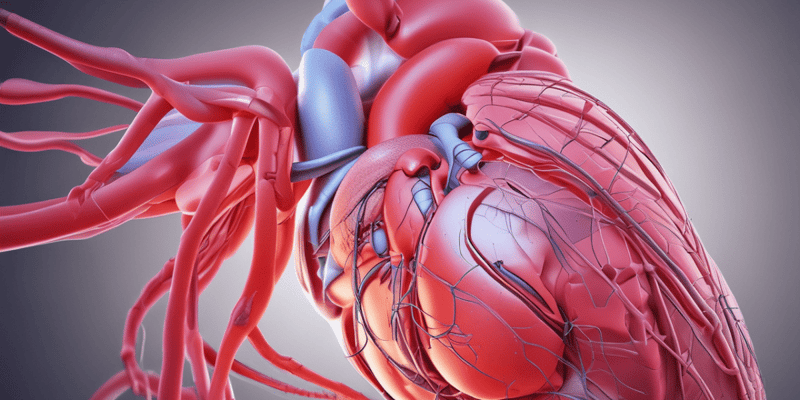 Cardiac Examination: Anatomy and Cycle