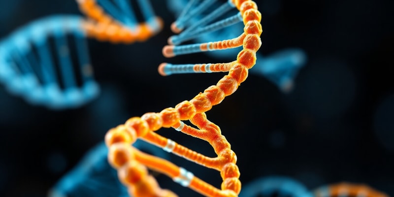 DNA and RNA Structure Quiz