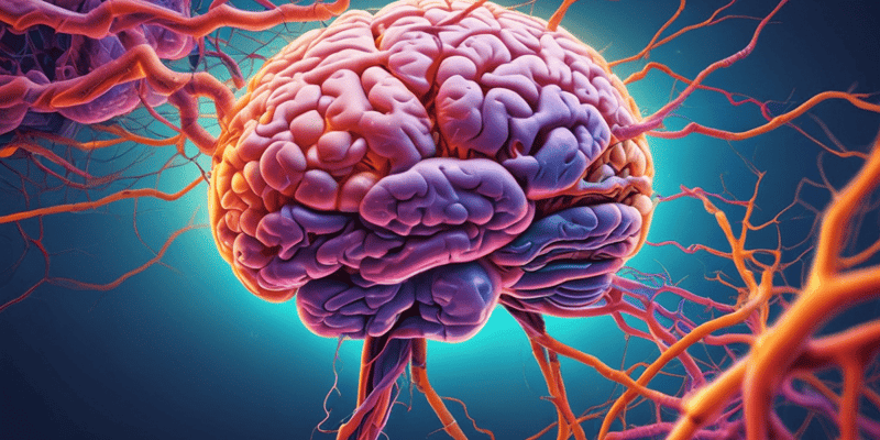 Neurology: Key Terms and Concepts Quiz