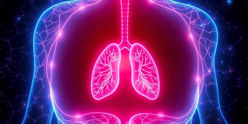 Respiratory System Quiz