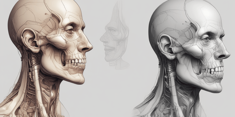 Anatomy of the Head and Neck: Mastication and TMJ