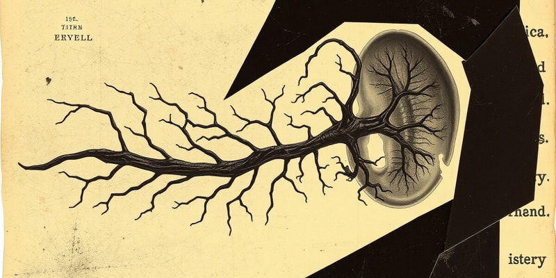 Central Nervous System Development