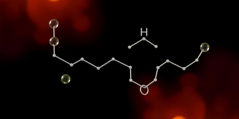 Organic Chemistry: Functional Groups Overview