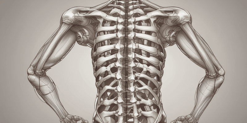 Vertebral Spine Movement