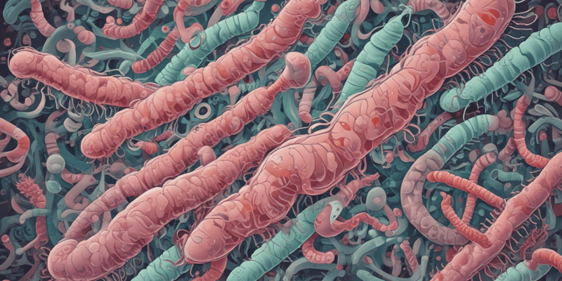 Syndrome hémolytique-urémique et infections à E. coli