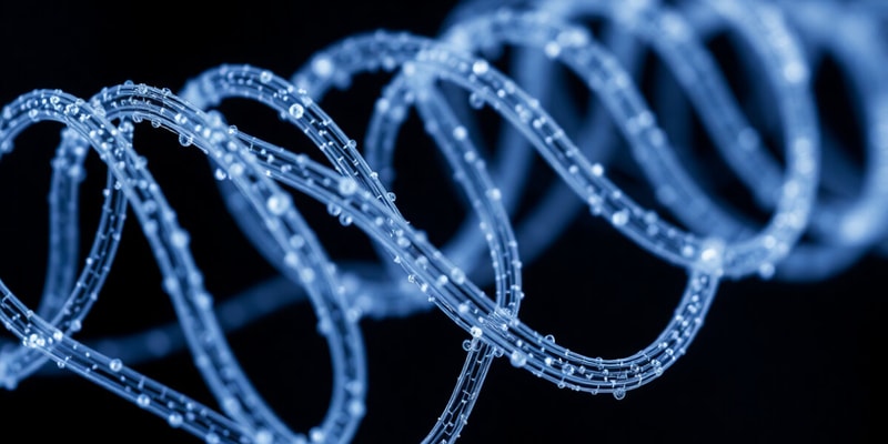 Nanowire Structure and Synthesis