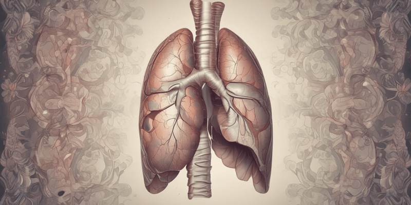 Lung Cancer and Respiratory Diseases