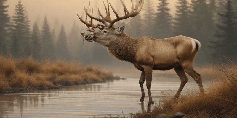 Licensing and Restrictions for Hunting Season 2022-2023
