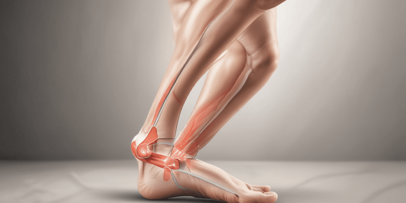 Ankle Impingement Quiz