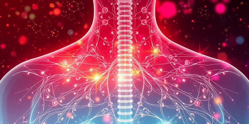 Hormones Thyroïdiennes