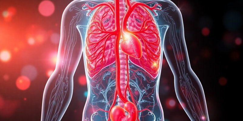 Circulatory and Urinary Systems Quiz