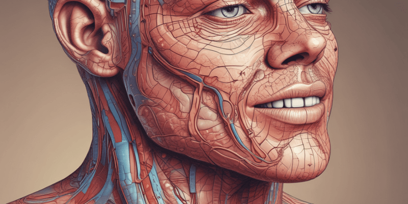 Integumentary System Overview Quiz