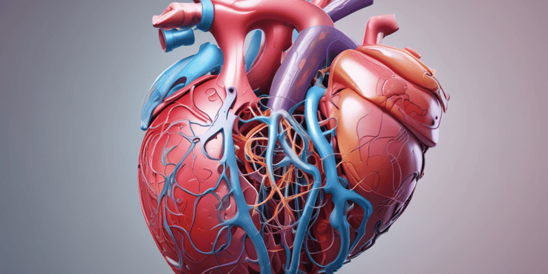 Ch 13 - part 1  Anatomy: Semilunar Heart Valves Quiz