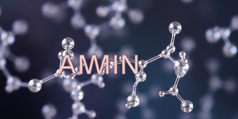 Biochem 1.3   Acid-Base Chemistry of Amino Acids