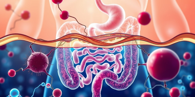 Digestive System Concepts and Functions