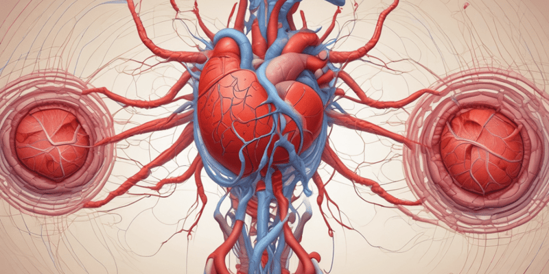 Y1S1 006 III Physiology Functions of Haemostasis in the Cardiovascular System