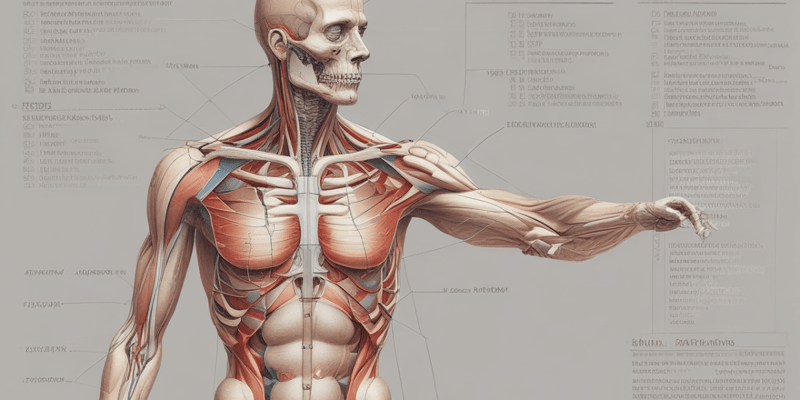 N2030 Exam 3 Study Guide: Anatomy and Health Assessment