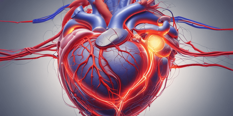 Ch 13 Part 1 - Cardiac Conduction System Pathway Quiz