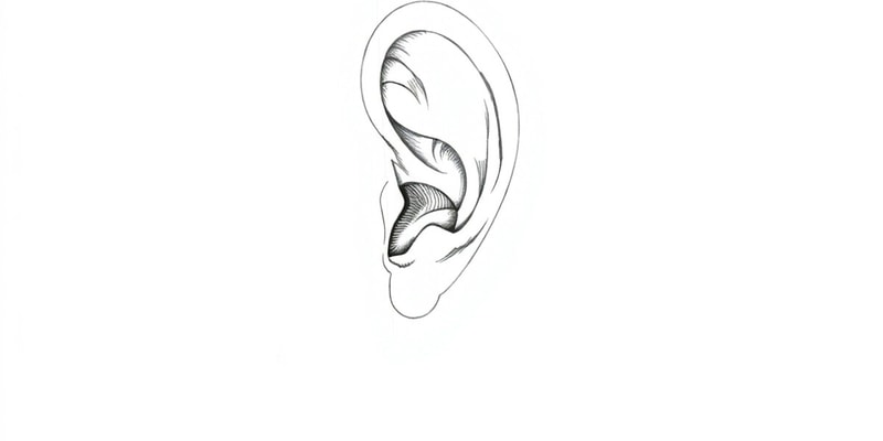 Care of the Patient with an Ear Disorder