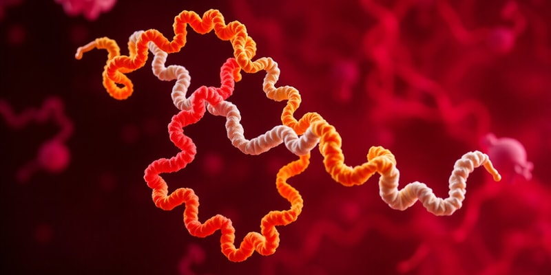 Cellular & Molecular Biology - Protein Structure