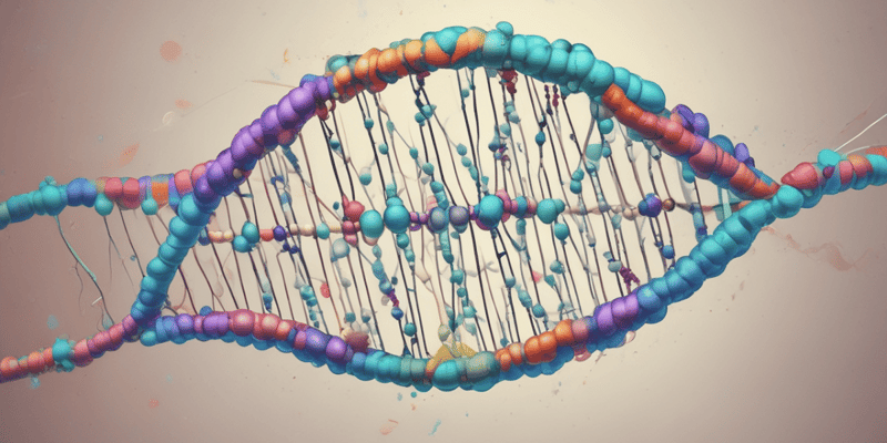 DNA Repair Mechanisms Quiz