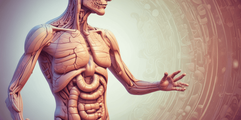26.1 Introduction To The Digestive System