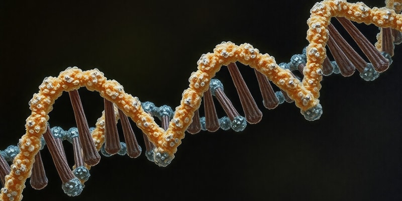 RNA Structure and Pentose Sugars Quiz