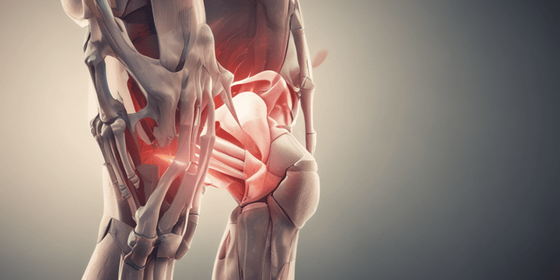 Knee Anatomy and Injuries Quiz