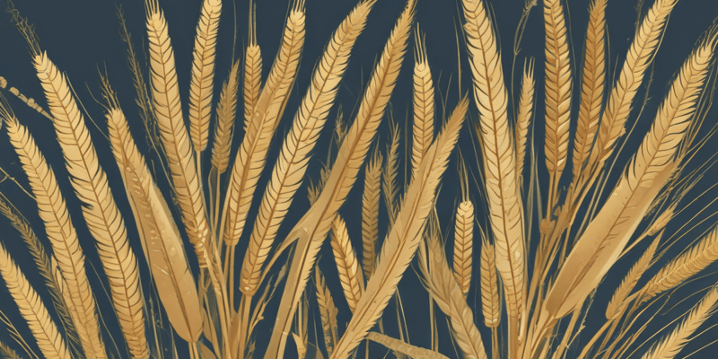 Structure and Reproduction of Wheat Plants