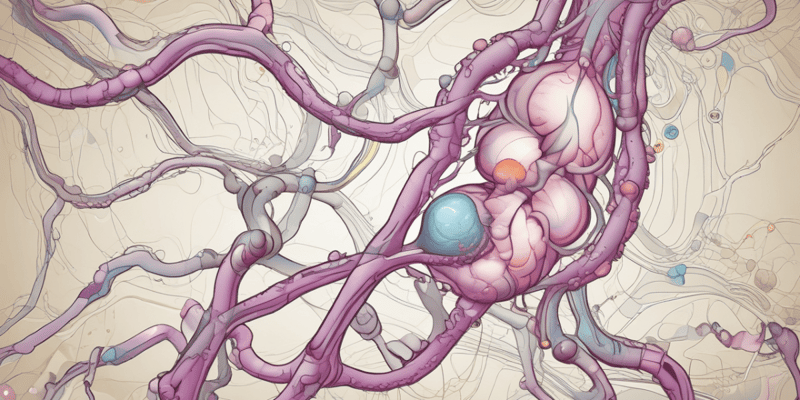 ADH Hormone Function and Pathway