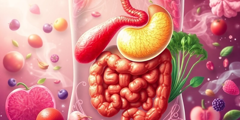 Digestive System Overview