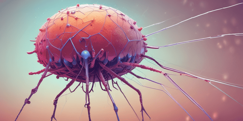 Bacteriophage Therapy Updates