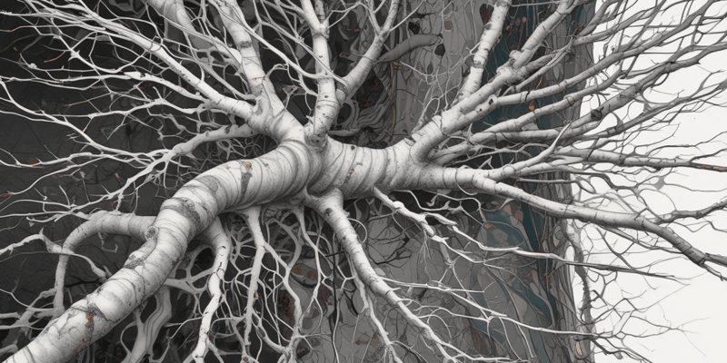 Neural Plasticity and Dendritic Spine Morphology