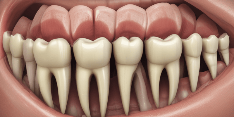 Ultrasonic Root End Preparation in Endodontics
