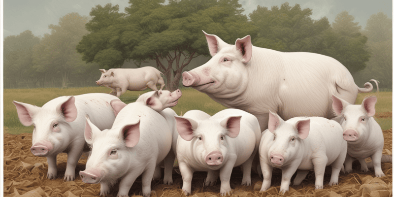 Pig Production and Management