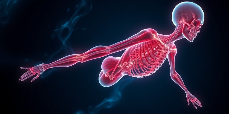 Muscle Tissue Types and Skeletal Muscle