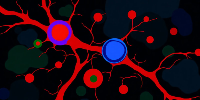 Cell-Cell Junctions and Cadherin Function