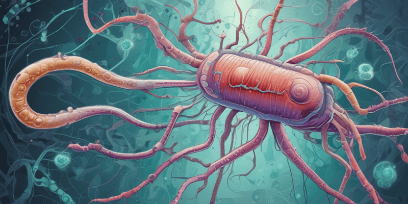 Vibrio cholerae : Identification et traitement