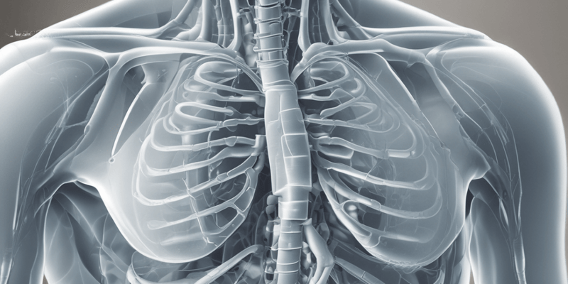 Radiological Examination of the Chest