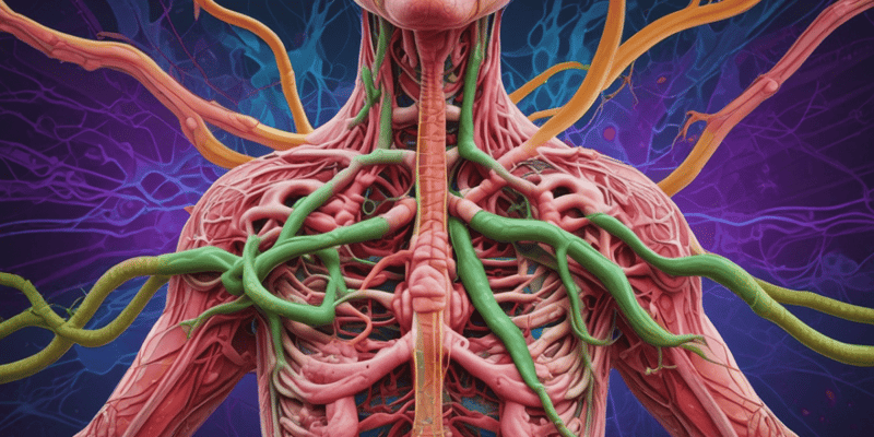 Lymphatic System and Immune Response Quiz
