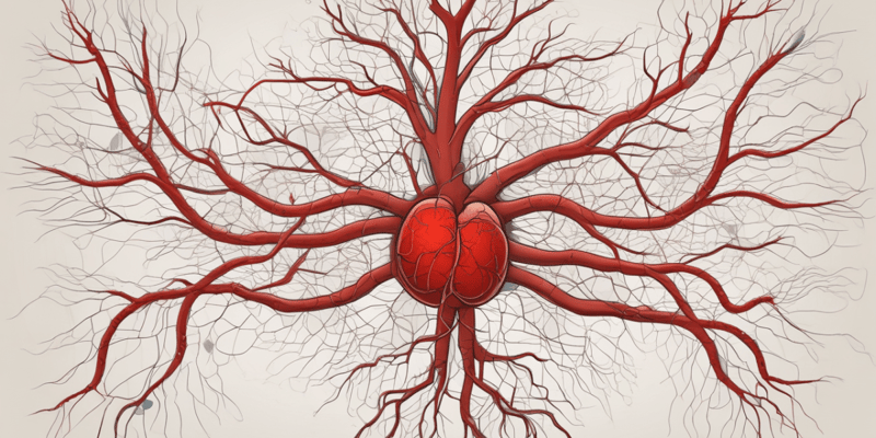 Blood Vessels and Circulation Concepts