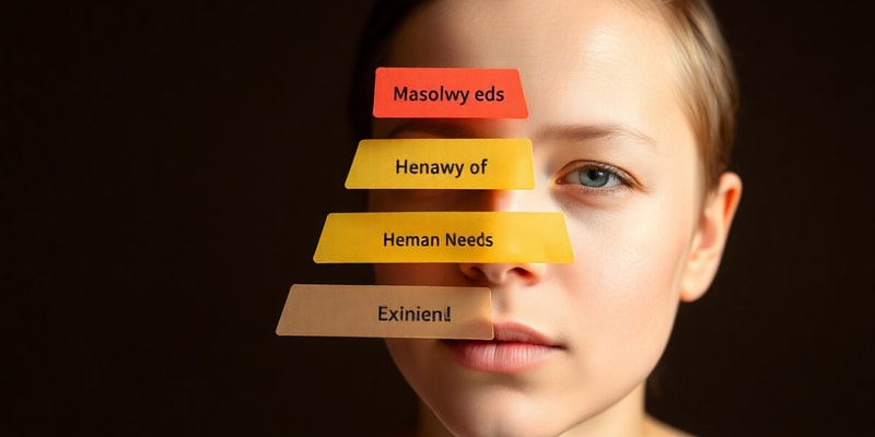 Les Besoins et les Émotions selon Maslow