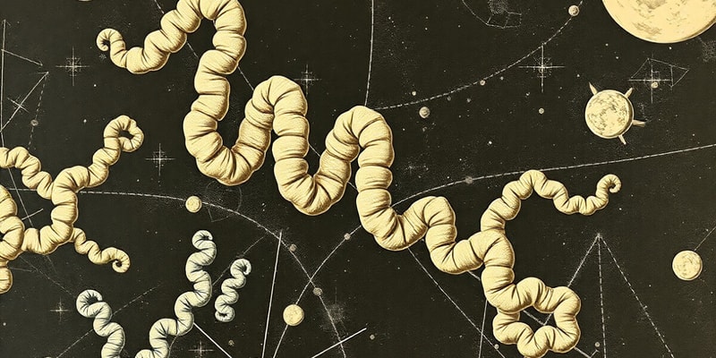 Protein Structure and Folding Quiz