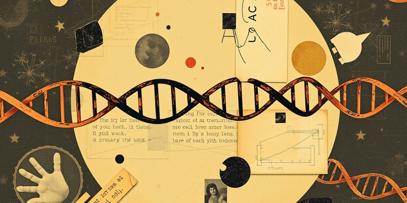 DNA Replication Overview and Key Enzymes